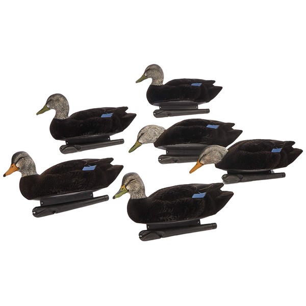 AvianX Top Flight Flocked Duck Floater Decoy (6 Pack), Black