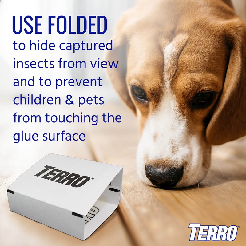 Terro T3206 Spider & Insect Traps Indoor, Insect Traps Indoor