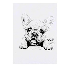 Large 'French Bulldog Puppy Laying Down with Bone' Temporary Tattoo (TO00075409)