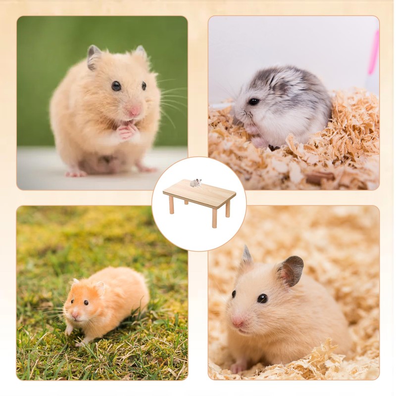 Hamster Platform, Hamster Accessories, 1 Pcs Wooden Hamster Cage Accessory,
