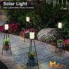 MXwcy 2 Pack Solar Lights Outdoor with Plant Stands -