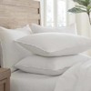 IHG Touch of Down Pillow Found in Holiday Inn Express,