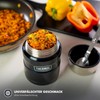 Thermos Stainless King Food Jar, Stainless Steel