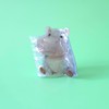 Funny Hippo Hair Clips,Cute Animal Hair Clip,Acrylic Claw Clips for