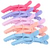HH&LL Hair Clips for Women 10 Pack Wide Teeth &