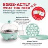 DASH Rapid Egg Cooker: 7 Egg Capacity Electric Egg Cooker