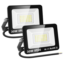 RIGIDON 2 x 30 W LED Outdoor Spotlights, 3000 lm, 6000 K, Cool White, IP66 Waterproof, LED Floodlight, Outdoor Lamp for Garden, Courtyards, Garage, Hotel, Sports Field, Workshop