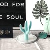 PUDDING CABIN - Soporte para anillos de cactus para mujer,