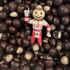 Buckeye nuts - The Original OSU Bucknuts!