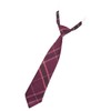 Classe School Necktie, Students, Uniform, Girls' High School Girls, Junior