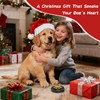 Dog Bells to Go Outside - Bell for Dogs to