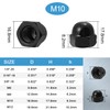 M10-1.5 Acorn Nuts,10PCS Black M10 304 Stainless Steel(18-8) Acorn Cap