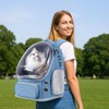 pawstrip Cat Backpack Carrier Transparent Pet Travel Carrier Airline Approved