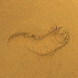 ClearLee Rhassoul Ghassoul Clay Cosmetic Grade Powder - 100% Pure Natural Powder - Great For Skin Detox, Rejuvenation, and More - Heal Damaged Skin - DIY Clay Face Mask (1 LB)