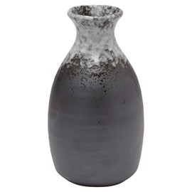 美濃焼 酒器 徳利 2合 350ml 白吹き K80301