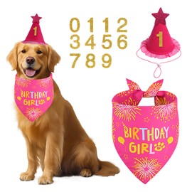Agroon Dog Birthday Party Supplies, Rose Pink Dog Birthday Set with Hat Bandana Numbers for XLarge Large Girl Pets Puppy