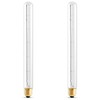 OHLECTRIC 40W T8 Clear Light Bulb (2-Pack) E26 Base, 120V,