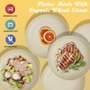 Wrova Wheat Straw Dinner Plates Set of 8 - 10