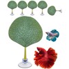 Zyvoreliax 6PCS Betta Fish Leaf Hammock,Betta Fish Bed,Betta's Health by
