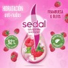 Sedal Recarga Natural Hidratación Anti-Nudos 620mL shampoo para cabello maltratado