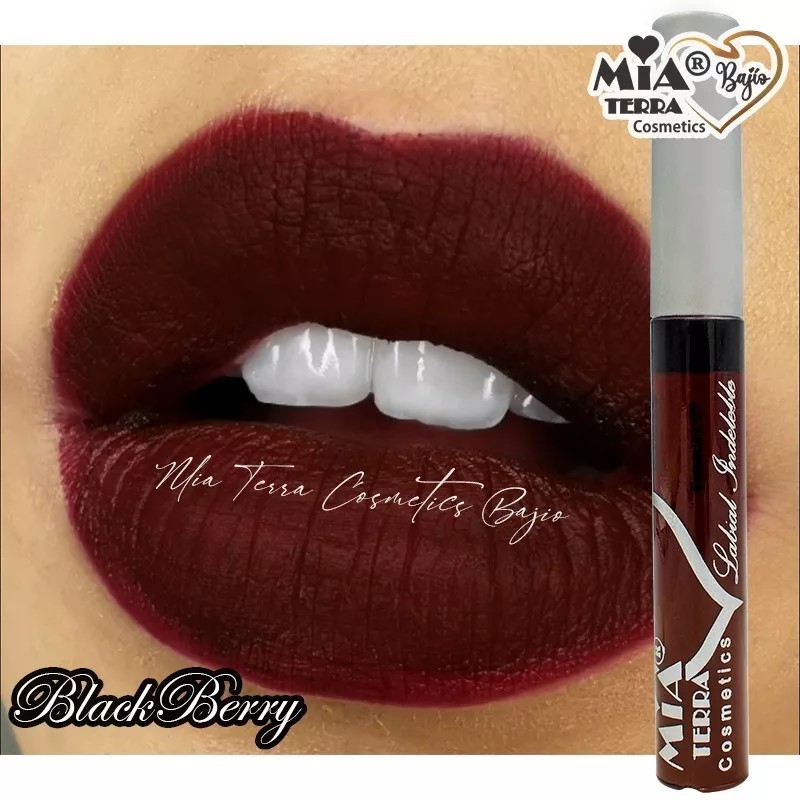 Mia Terra Labial Indeleble Acabado Mate Color Blackberry