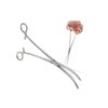 Panther Surgical 12 Inch Curved Stainless Steel Copping Crafting Sea