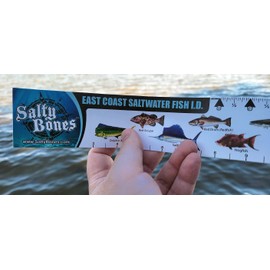 Salty Bones 36" Fishing Ruler Sticker - East Coast Saltwater Fish ID - Made in The USA
