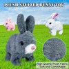 LYINUR Interactive Rabbit Toy with Carrot, Pet Hopping Bunny Toy
