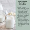 Milk Kefir Grains Live Scoby Bulgaros - Fresh Live Active