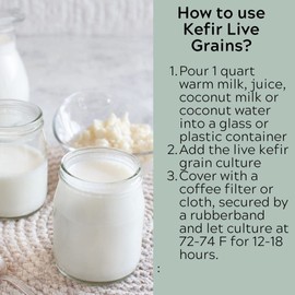 Milk Kefir Grains Live Scoby Bulgaros - Fresh Live Active Probiotic Starter Cultures