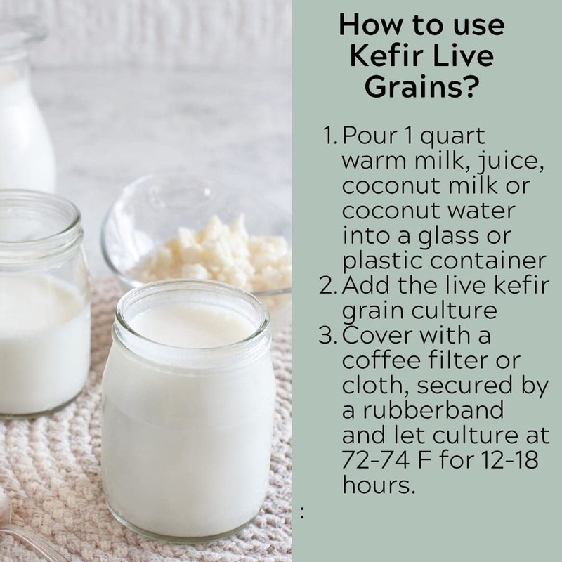 Milk Kefir Grains Live Scoby Bulgaros - Fresh Live Active