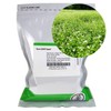 Buckwheat Seeds - 25 Lb Bulk ~300,000 Seeds - Organic,