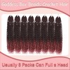 Goddess Box Braids Crochet Hair 8 Packs with Curly Ends