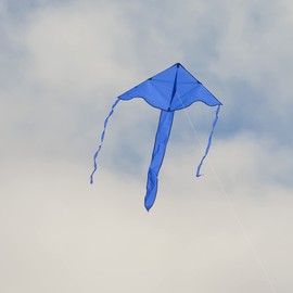 In the Breeze Blue 43 Inch Fly-Hi Kite - Single Line - Ripstop Fabric - Includes Kite Line and Bag,3212