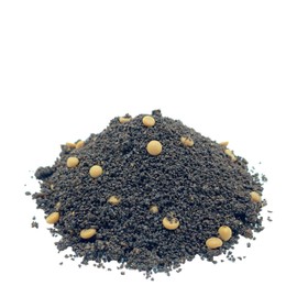 Black Tea King Salty Caramel from Assam with Cocoa Coconut Caramel Salt Flavour, Salty, Sweet, Creamy Cream, Freshly Bottled