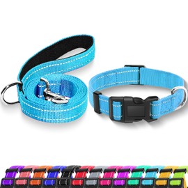 Maiiu Reflective Dog Collar with Safety Locking Buckle, Adjustable Soft Breathable Nylon Collars for Small, Medium and Large Dogs(Collar+Leash M Sky Blue)