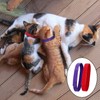 FDGGT 12-Piece Pet Identification Rings and 12-Piece Pet Collars, Puppy