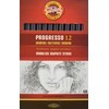 KOH-I-NOOR Progresso 6B Woodless Graphite Pencil (Box of 12)