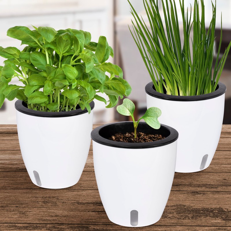 ONVAYA® Herb Pot Self-Watering | Water Level Readable | Set