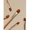 [Good fit] The Tool Lab 231 Full Coverage Concealer Brush