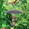 andergi 13" Bird Feeder Rain Guard, Hummingbird Feeder Shade Dome