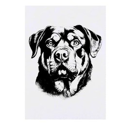 'Rottweiler Dog Portrait' Temporary Tattoo - Water Resistant, Skin-Safe, Non-Toxic Transfer (TO00083363)