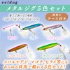 eeldog Metal Jig 5 Color Set with Case (20g)