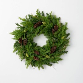 Sullivans 22" Cedar Hemlock Wreath, Artificial Greenery Flowers, Everyday and Seasonal Wreaths, Indoor & Outdoor Wreaths for Front Door, Entryway, Porch Décor