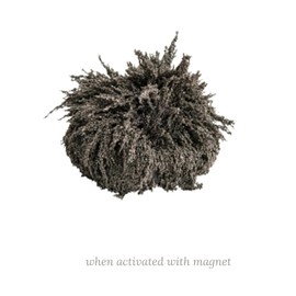 Iron Filings for Magnet Experiments – Magnetic Field Science Learning for Kids, STEM Classroom Supply, Hands-On Physics Activities