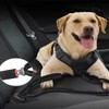 Dog Leash Nylon Dog Leash for Medium Dogs Shock Absorbing