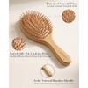 Juego de 4 cepillos de bambú para el cabello, cepillo