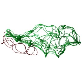 Lisaro Ball Net Fits 10 to 12 Size 5 Balls