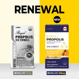Royal Propolis Flavonoid Antioxidant Function, Large Capacity 180 Capsules, 6 Months Supply / 로얄 프로폴리스 플라보노이드 항산화 기능 대용량 180캡슐 1통 6개월분