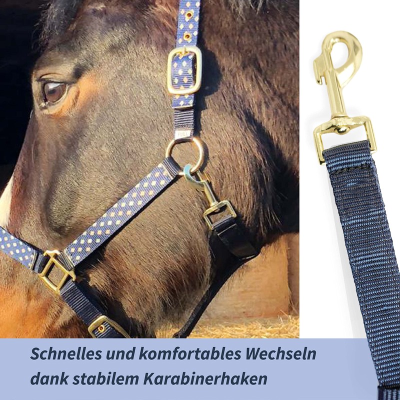 Headcollar for Horses, Stylish Headcollar Blue, 2-Way Adjustable Buckles, Shetty,